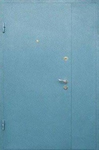 Дверь с боковой вставкой (Арт. F10)