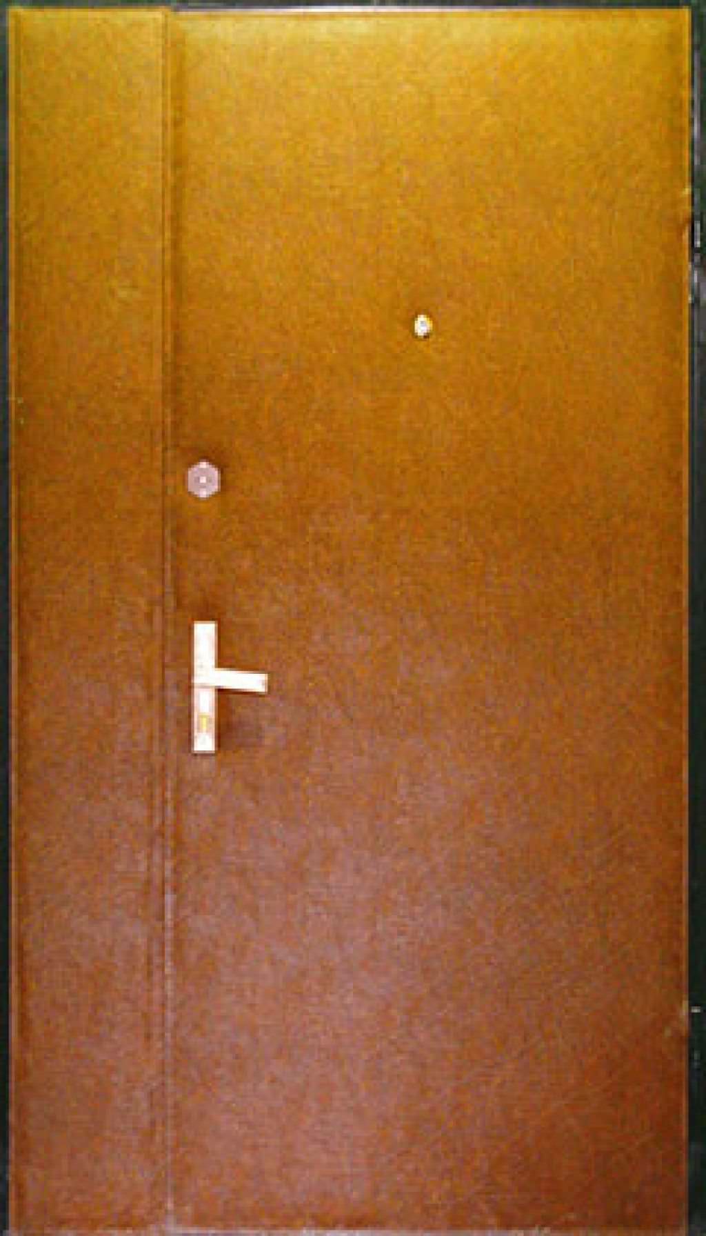 Дверь тамбурная (Арт. T06)