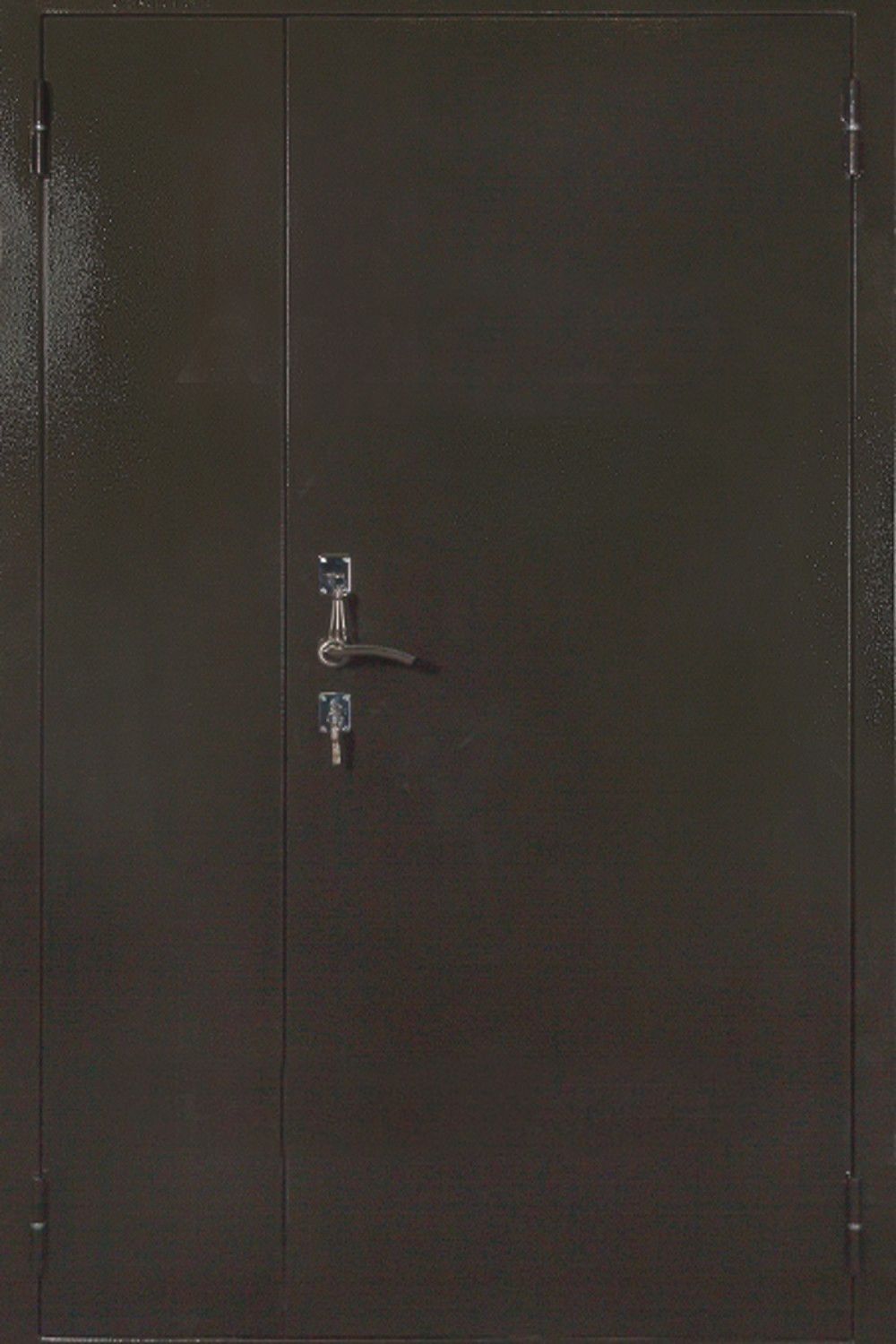 Дверь двустворчатая (Арт. DD108)