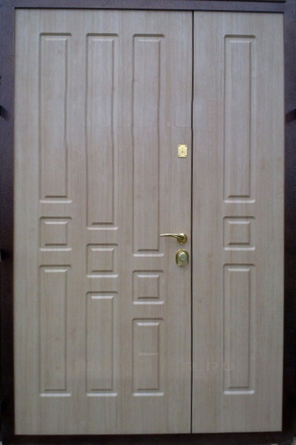 Дверь двустворчатая (Арт. DD75)