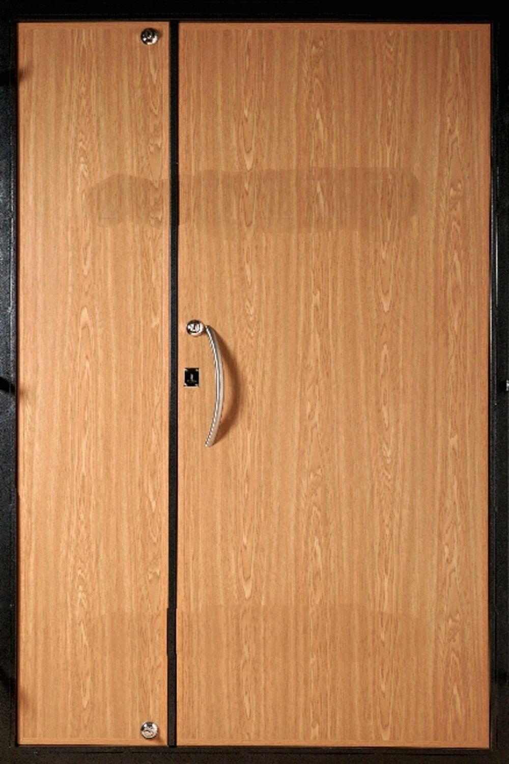 Дверь двустворчатая (Арт. DD117)