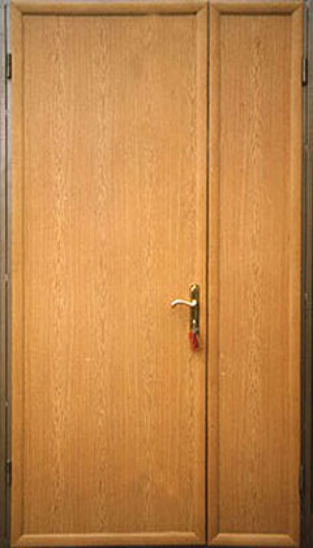 Дверь тамбурная (Арт. T14)