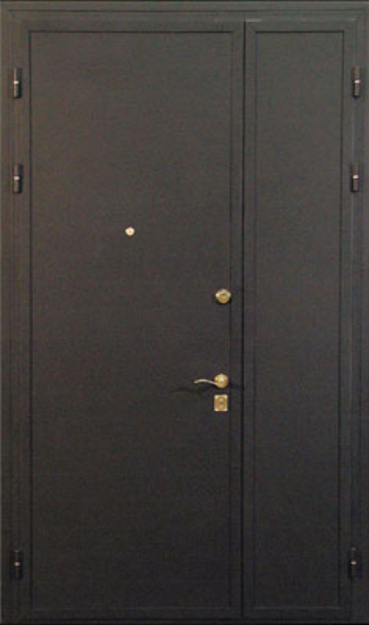 Дверь двустворчатая (Арт. DD49)