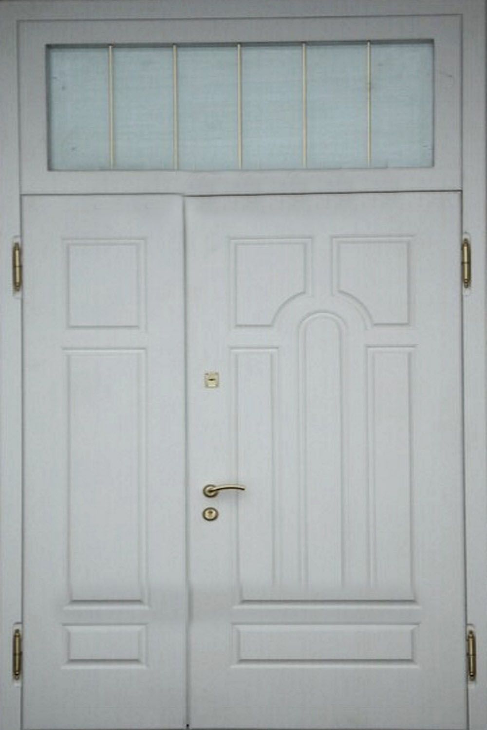 Дверь с фрамугой и вставками (Арт. F53)