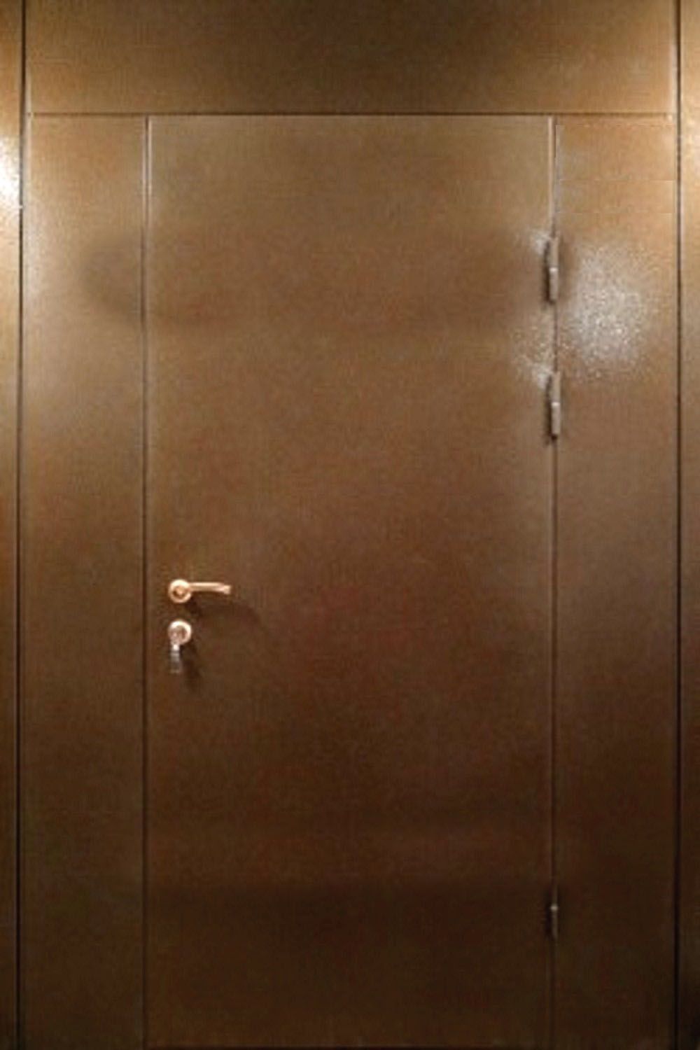 Дверь с фрамугой и вставками (Арт. F62)