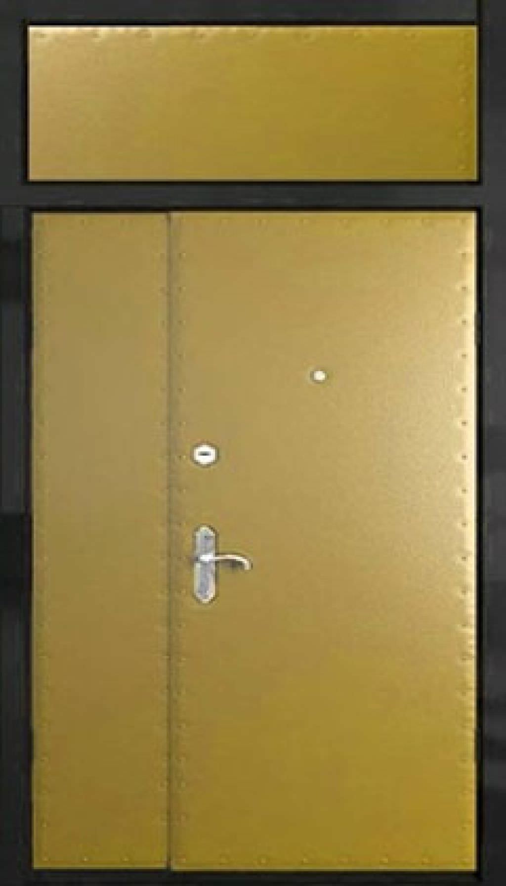Дверь тамбурная (Арт. T13)