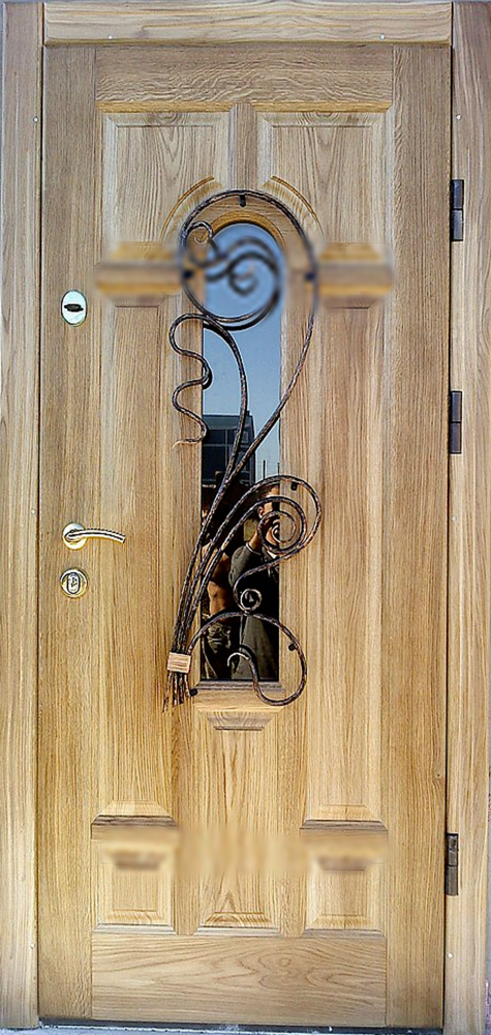 Дверь с ковкой (Арт. DK99)