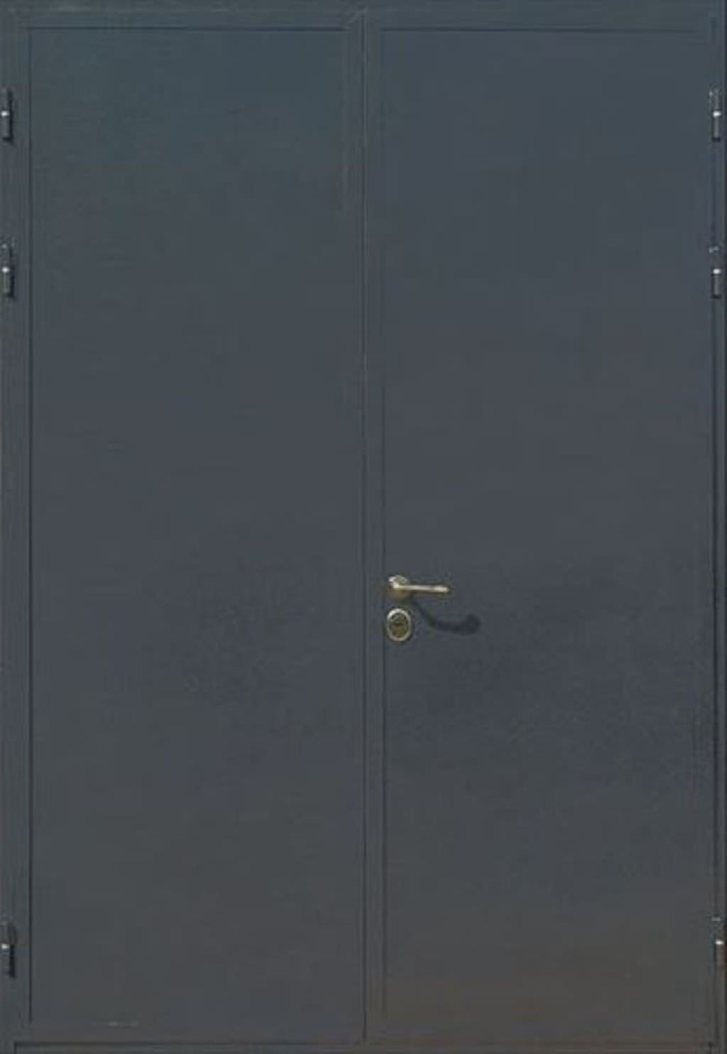 Дверь двустворчатая (Арт. DD54)