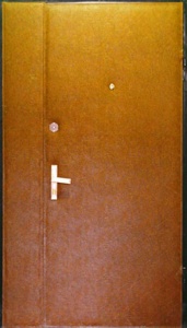 Дверь тамбурная (Арт. T06)