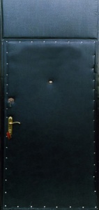 Дверь с фрамугой и вставками (Арт. F36)